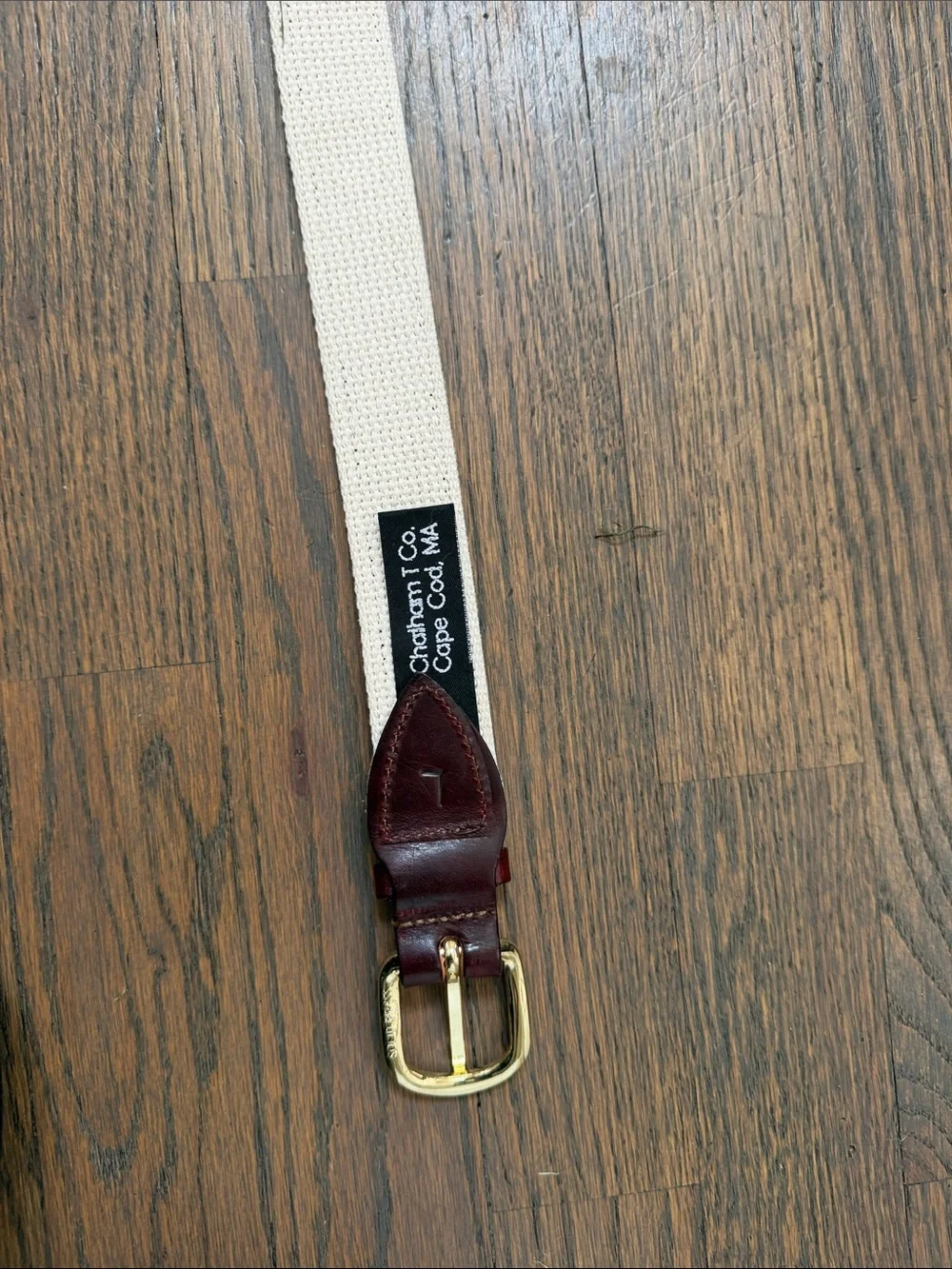 Navy Fish Motif Webbing Belt with Brown Leather Trim